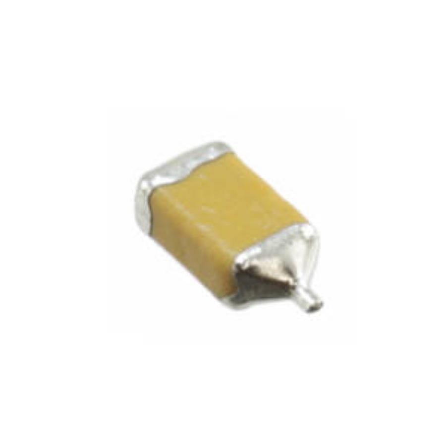 F950J107MAAAM1Q2-Nichicon